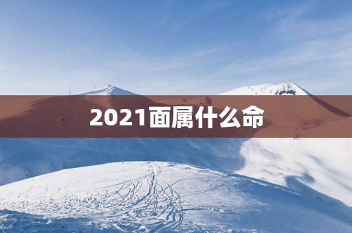 2025面属什么命