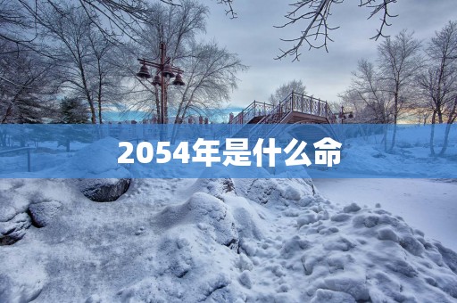 2054年是什么命