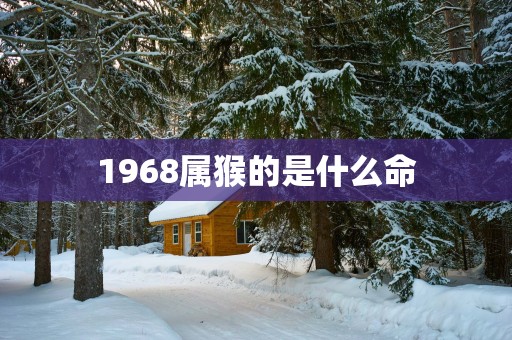 1968属猴的是什么命
