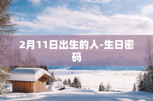 2月11日出生的人-生日密码