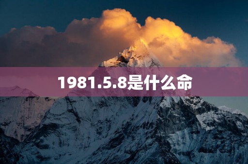 1981.5.8是什么命