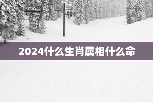 2025什么生肖属相什么命