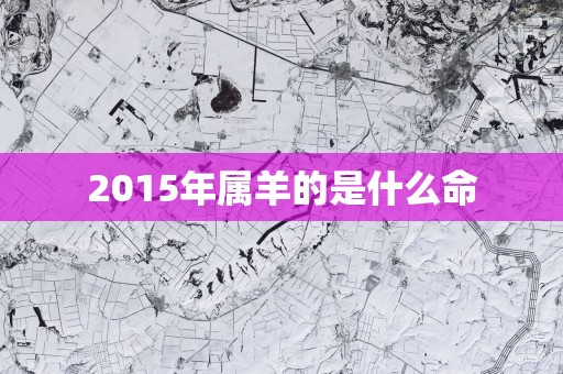 2015年属羊的是什么命