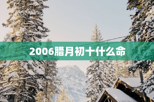 2006腊月初十什么命