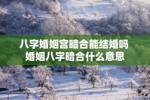 八字婚姻宫暗合能结婚吗 婚姻八字暗合什么意思