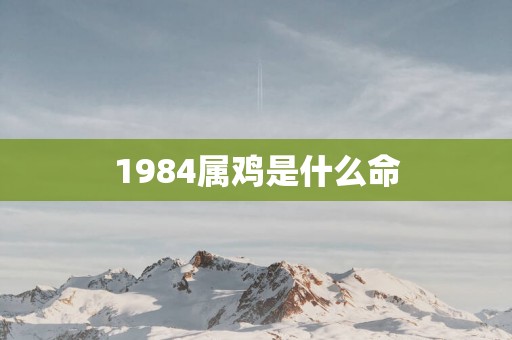 1984属鸡是什么命