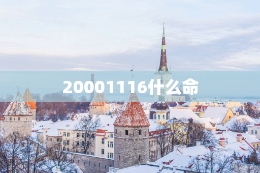 20001116什么命