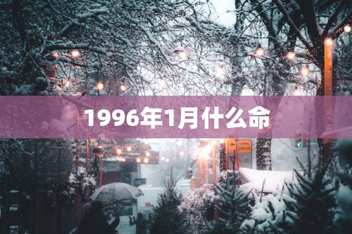 1996年1月什么命