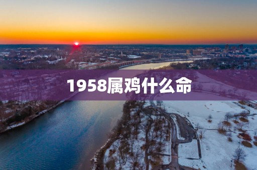 1958属鸡什么命