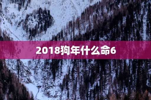 2018狗年什么命6