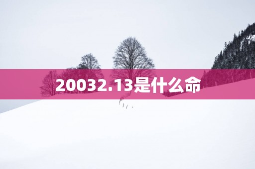 20032.13是什么命