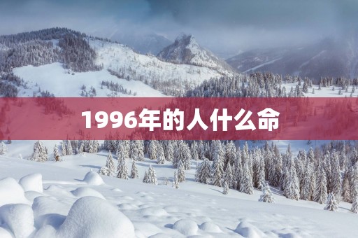 1996年的人什么命