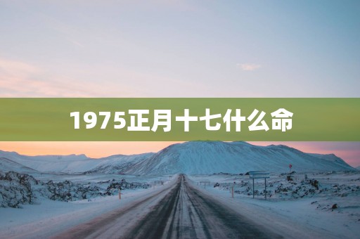 1975正月十七什么命
