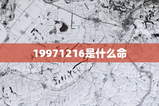 19971216是什么命