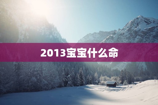 2013宝宝什么命