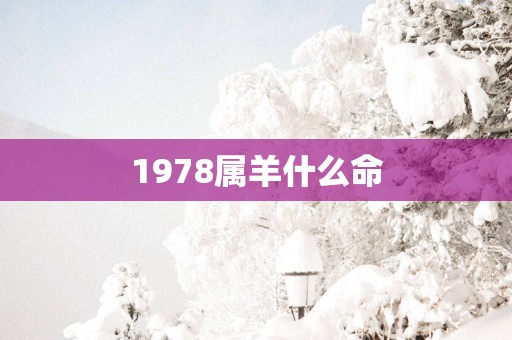 1978属羊什么命