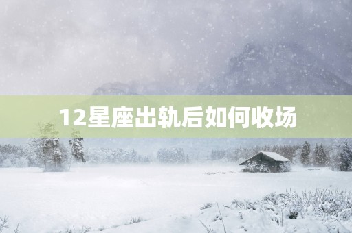 12星座出轨后如何收场