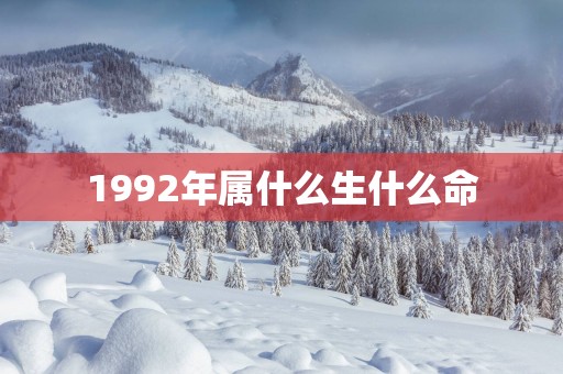 1992年属什么生什么命