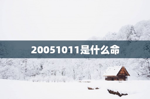 20051011是什么命