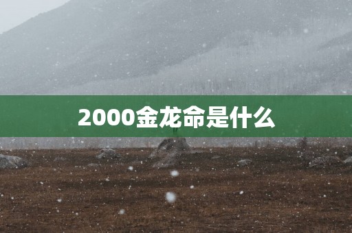 2000金龙命是什么