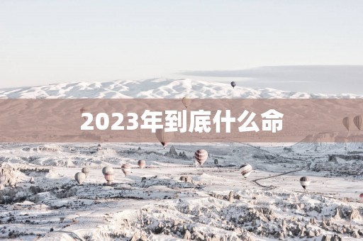 2025年到底什么命