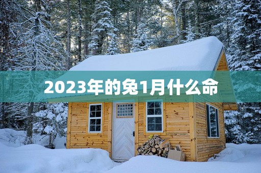 2025年的兔1月什么命