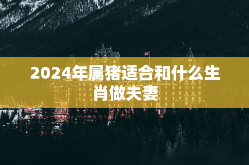 2025年属猪适合和什么生肖做夫妻