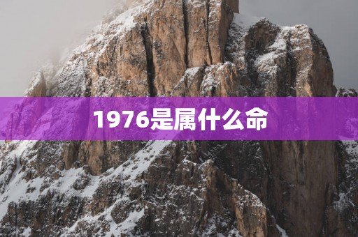 1976是属什么命