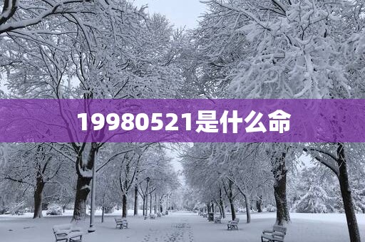 19980521是什么命