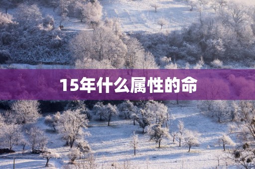 15年什么属性的命