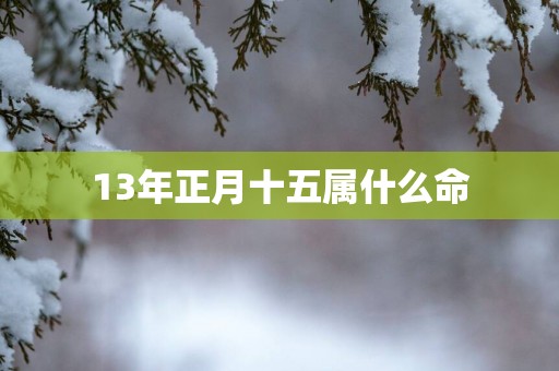 13年正月十五属什么命