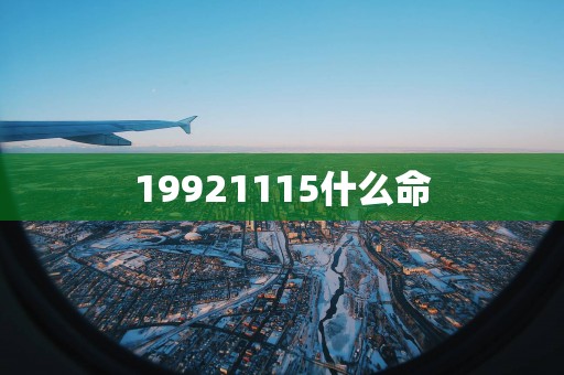 19921115什么命