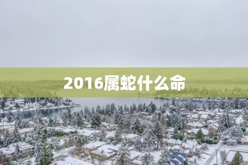 2016属蛇什么命