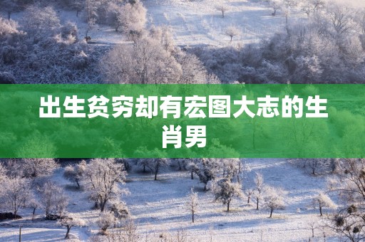 出生贫穷却有宏图大志的生肖男