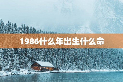 1986什么年出生什么命