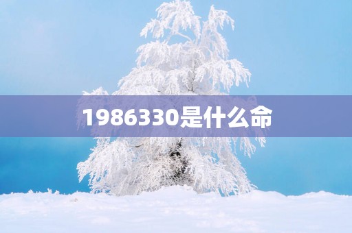 1986330是什么命