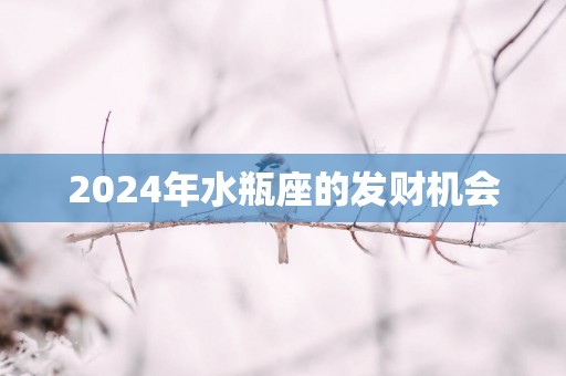 2025年水瓶座的发财机会