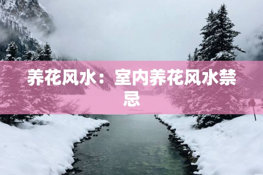 养花风水：室内养花风水禁忌