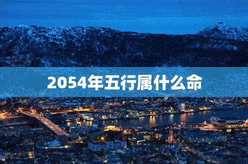 2054年五行属什么命