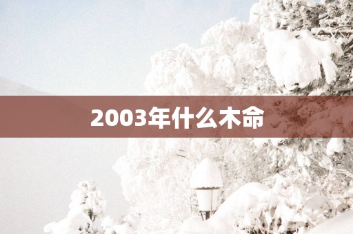 2003年什么木命