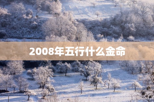 2008年五行什么金命
