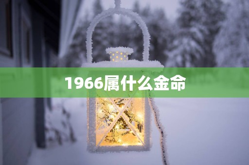 1966属什么金命