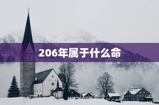 206年属于什么命