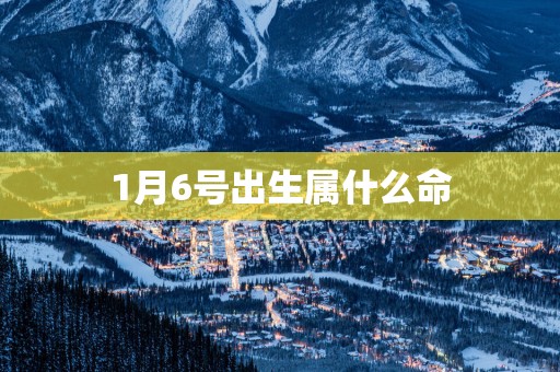 1月6号出生属什么命