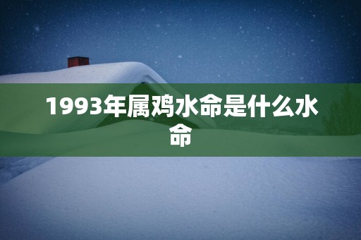 1993年属鸡水命是什么水命