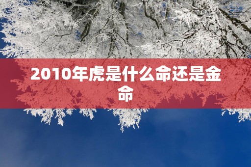 2010年虎是什么命还是金命