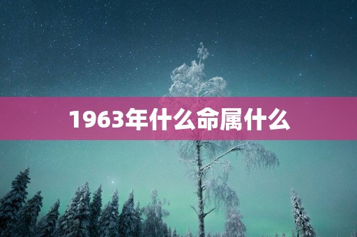 1963年什么命属什么
