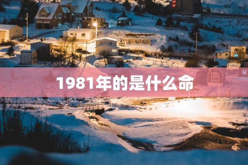 1981年的是什么命