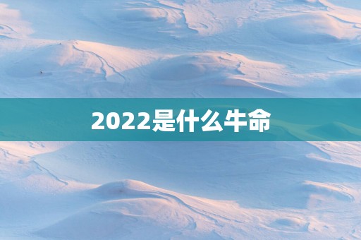 2025是什么牛命