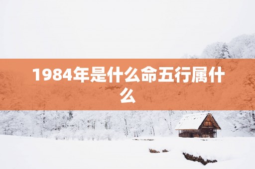1984年是什么命五行属什么